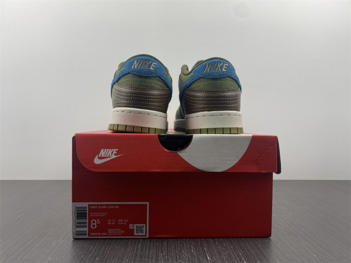 Nike Dunk Low DR0159-200