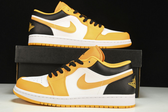 Nike SB Low 553558-701